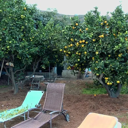 农家乐 Finca Brujita Del Drago - Authentic Canarian Homestead *